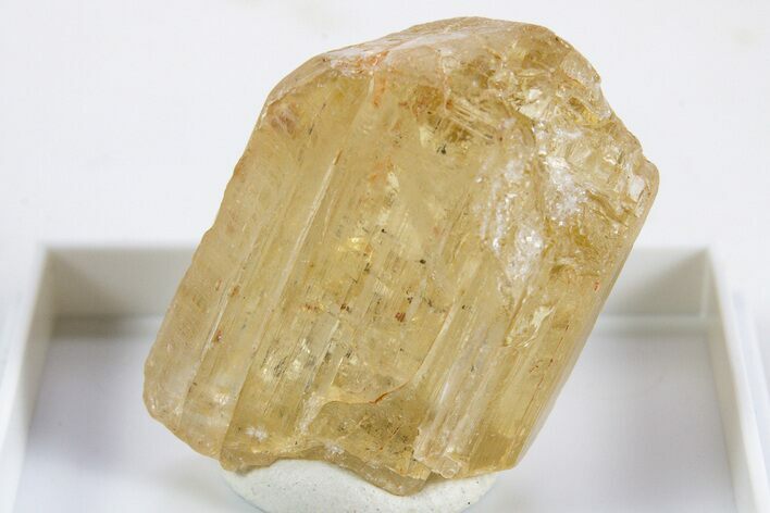Terminated Yellow Marialite (Scapolite) Crystal - Tanzania #345756